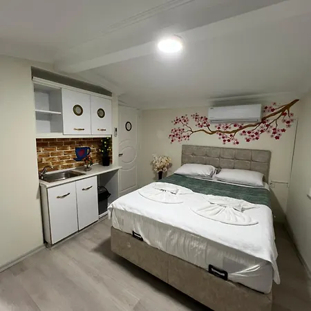 Sultanahmet Blue Ξενοδοχείο Κωνσταντινούπολη