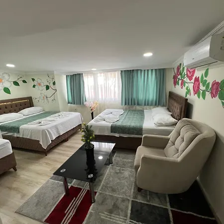 Hotel Sultanahmet Blue Estambul