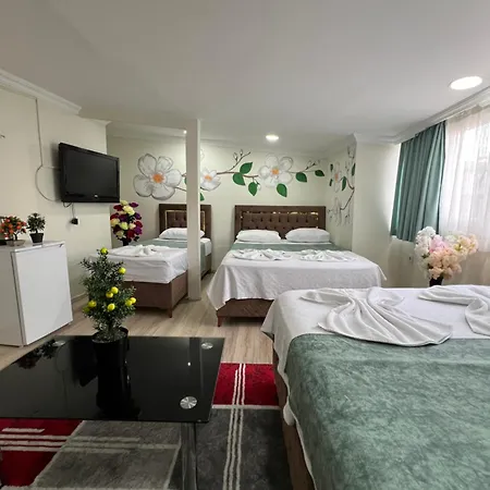 Hotel Sultanahmet Blue *