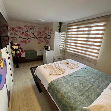 Sultanahmet Blue Hotel Istanbul