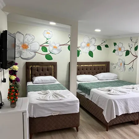 Hotel Sultanahmet Blue *