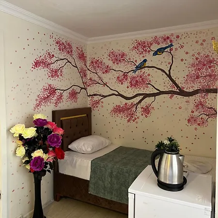 Hotel Sultanahmet Blue Estambul