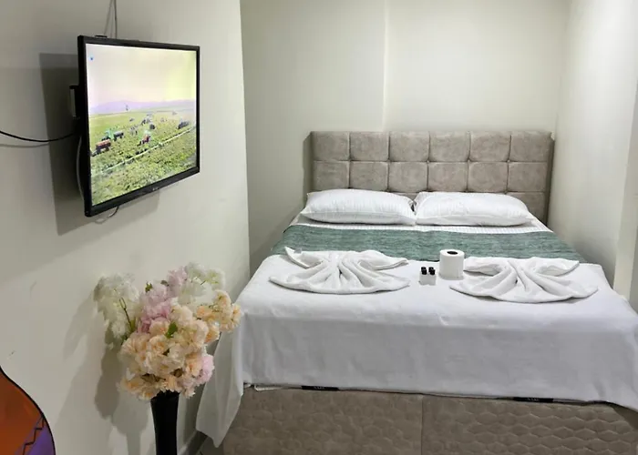 Hotel Sultanahmet Blue *