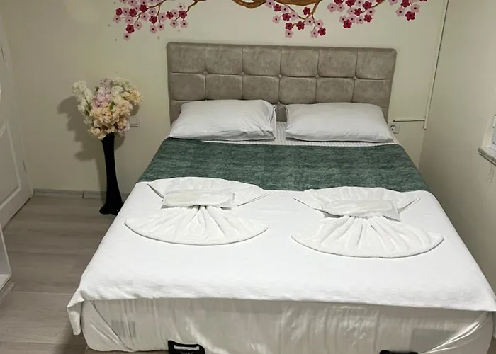 Hotel Sultanahmet Blue *