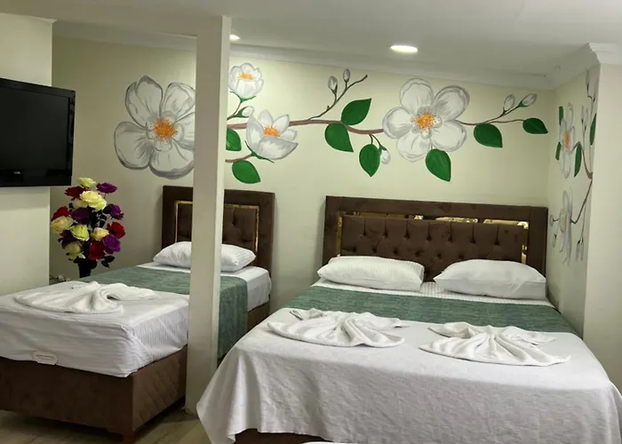 Sultanahmet Blue Hotel Istanboel