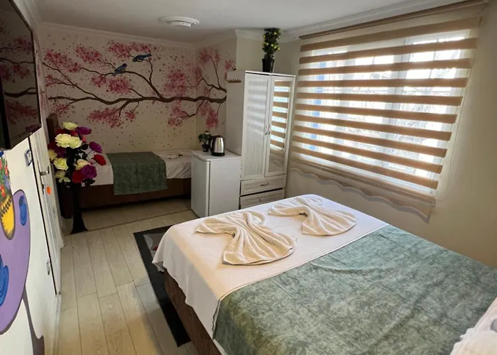 Sultanahmet Blue Hotel Istanboel