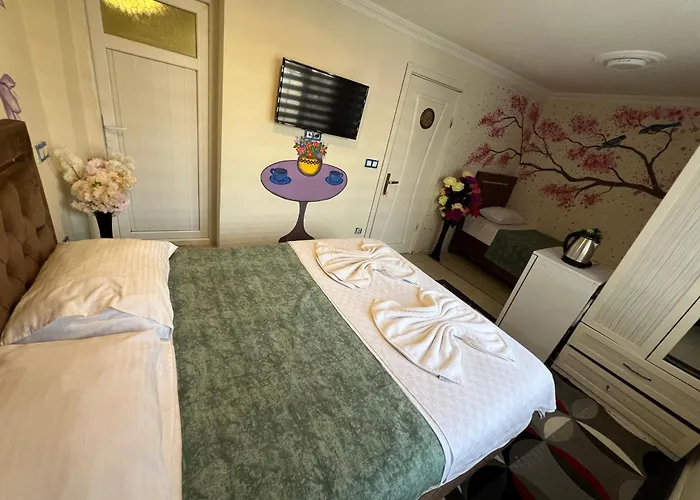 Sultanahmet Blue Hotel Istanboel