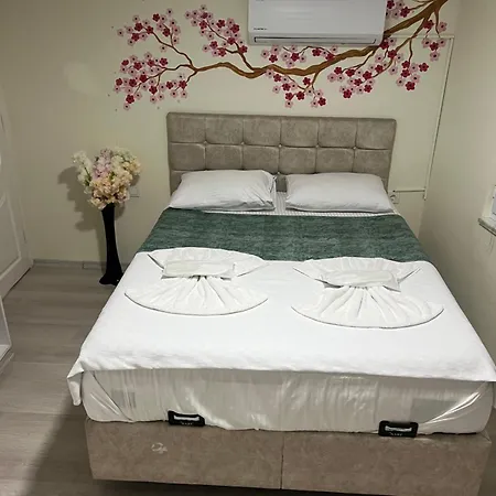 ホテル Sultanahmet Blue *