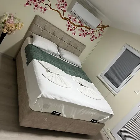 ホテル Sultanahmet Blue イスタンブール