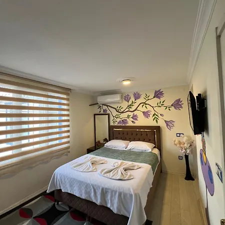 ホテル Sultanahmet Blue *