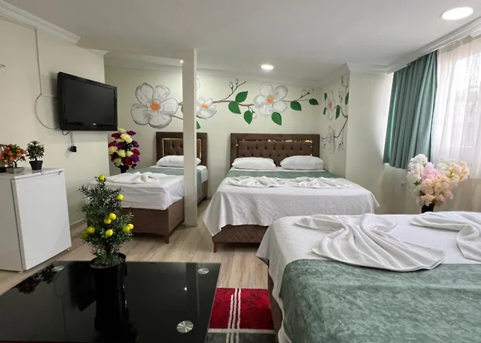 Hotel Sultanahmet Blue *